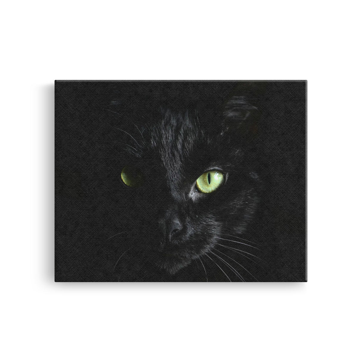 Tablou Canvas Animale Pisică Neagră