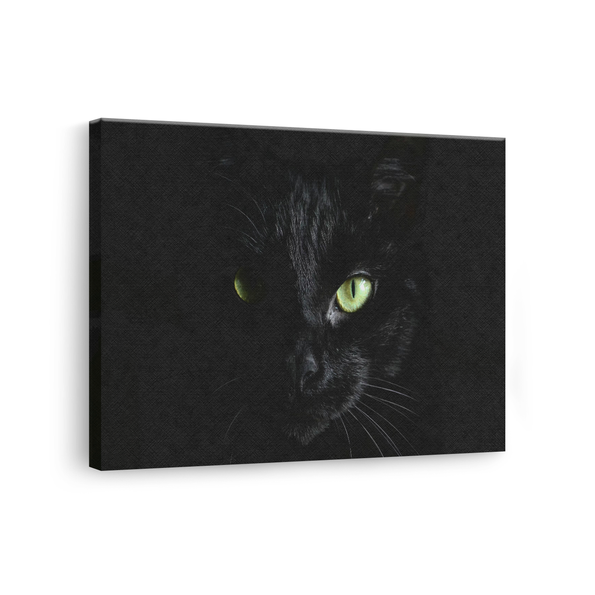 Tablou Canvas Animale Pisică Neagră