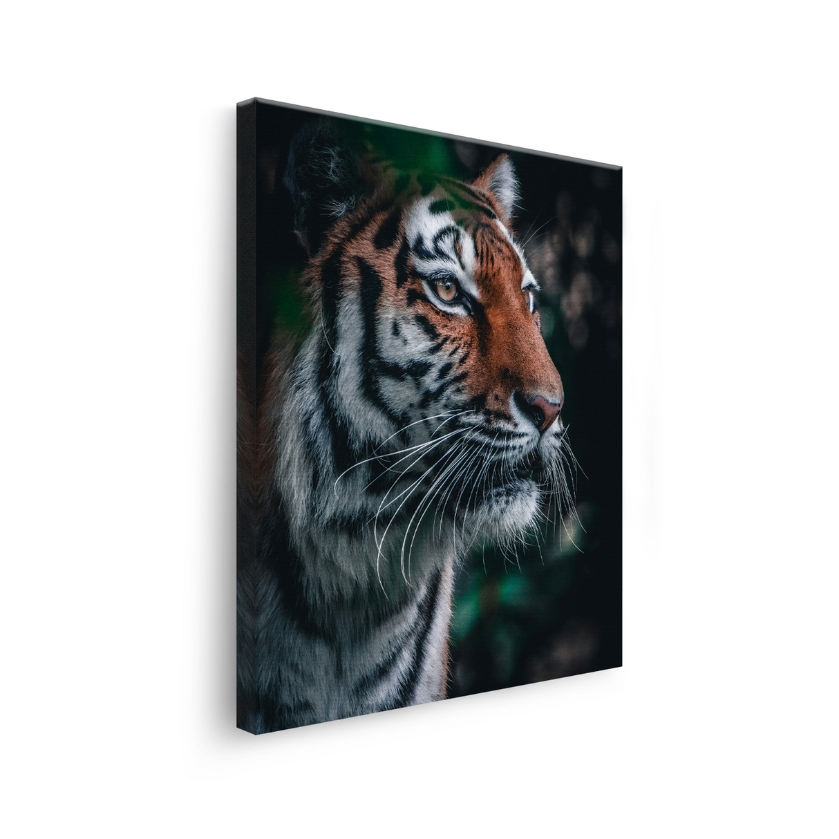 Tablou Canvas Animale Portret Tigru