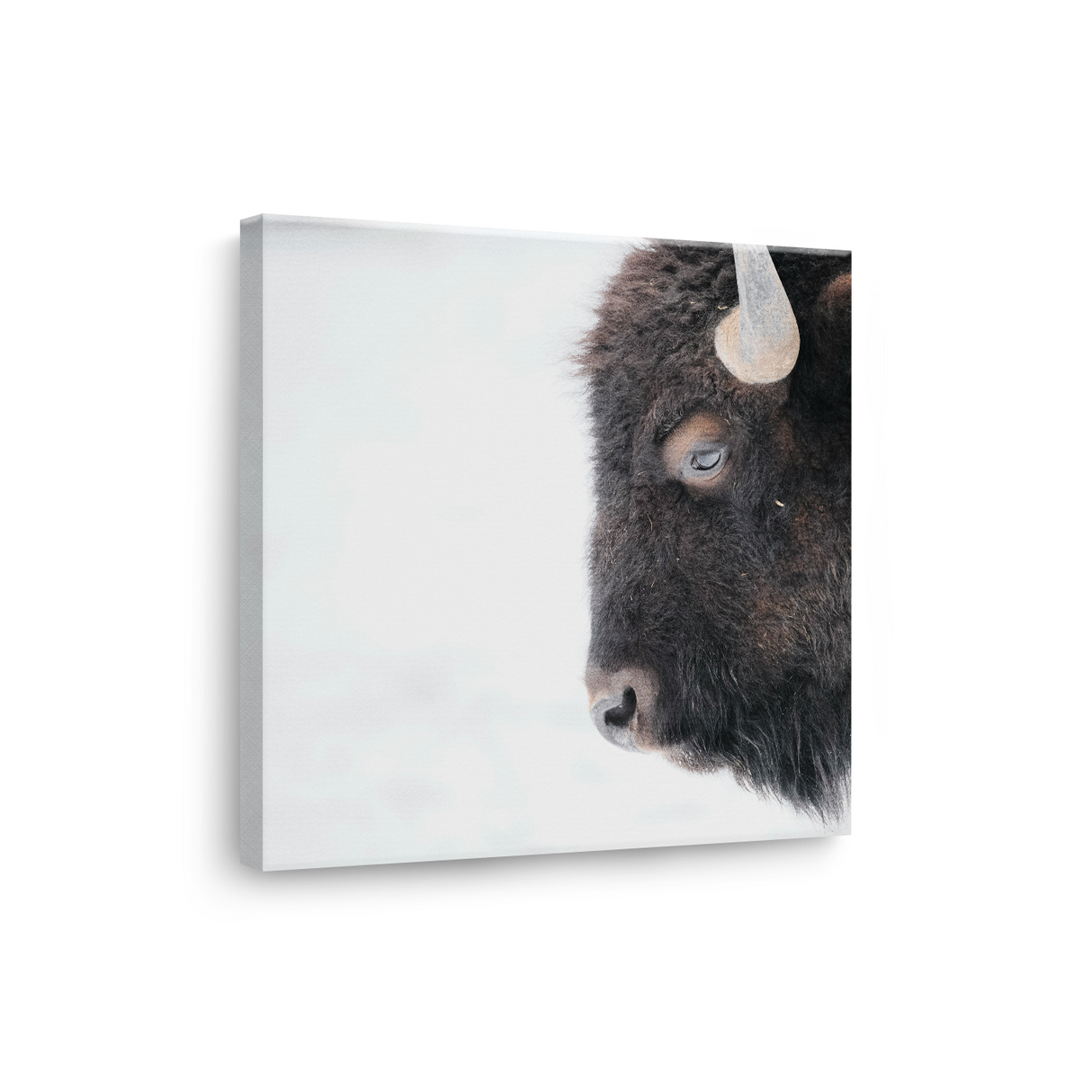 Tablou Canvas Bizon în Cadru de Iarnă, Stil Fotografic Nordic, Alb-Negru