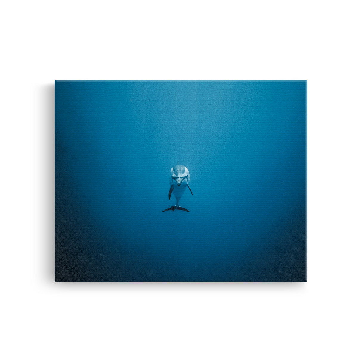 Tablou Canvas Delfin în Ocean, Decor Marin Albastru
