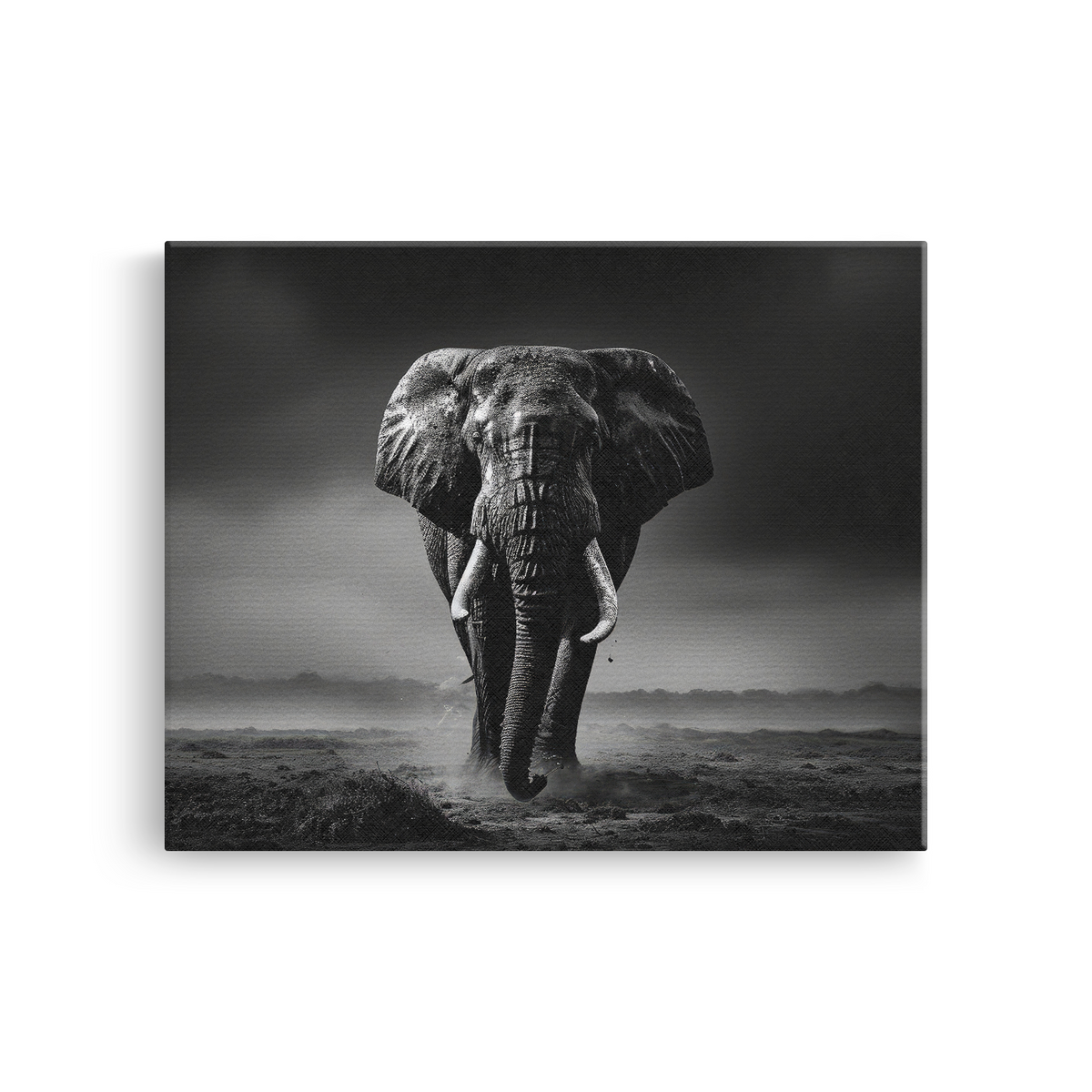Tablou Canvas Elefant în Inima Junglei Alb-Negru - IPCVBW-544-2