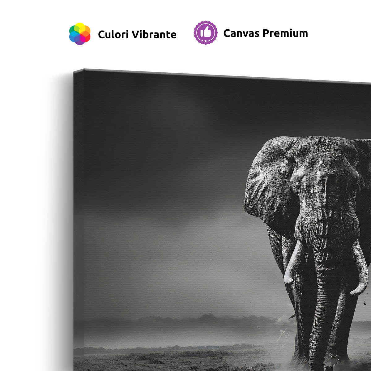Tablou Canvas Elefant în Inima Junglei Alb-Negru - IPCVBW-544-4