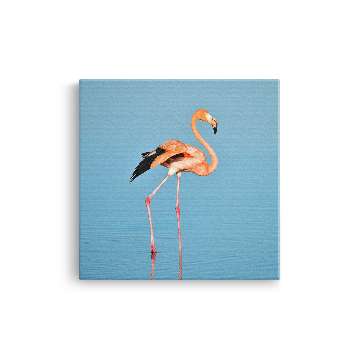 Tablou Canvas Flamingo Solitar, Compoziție Fotografică Minimalistă, Roz-Albastru