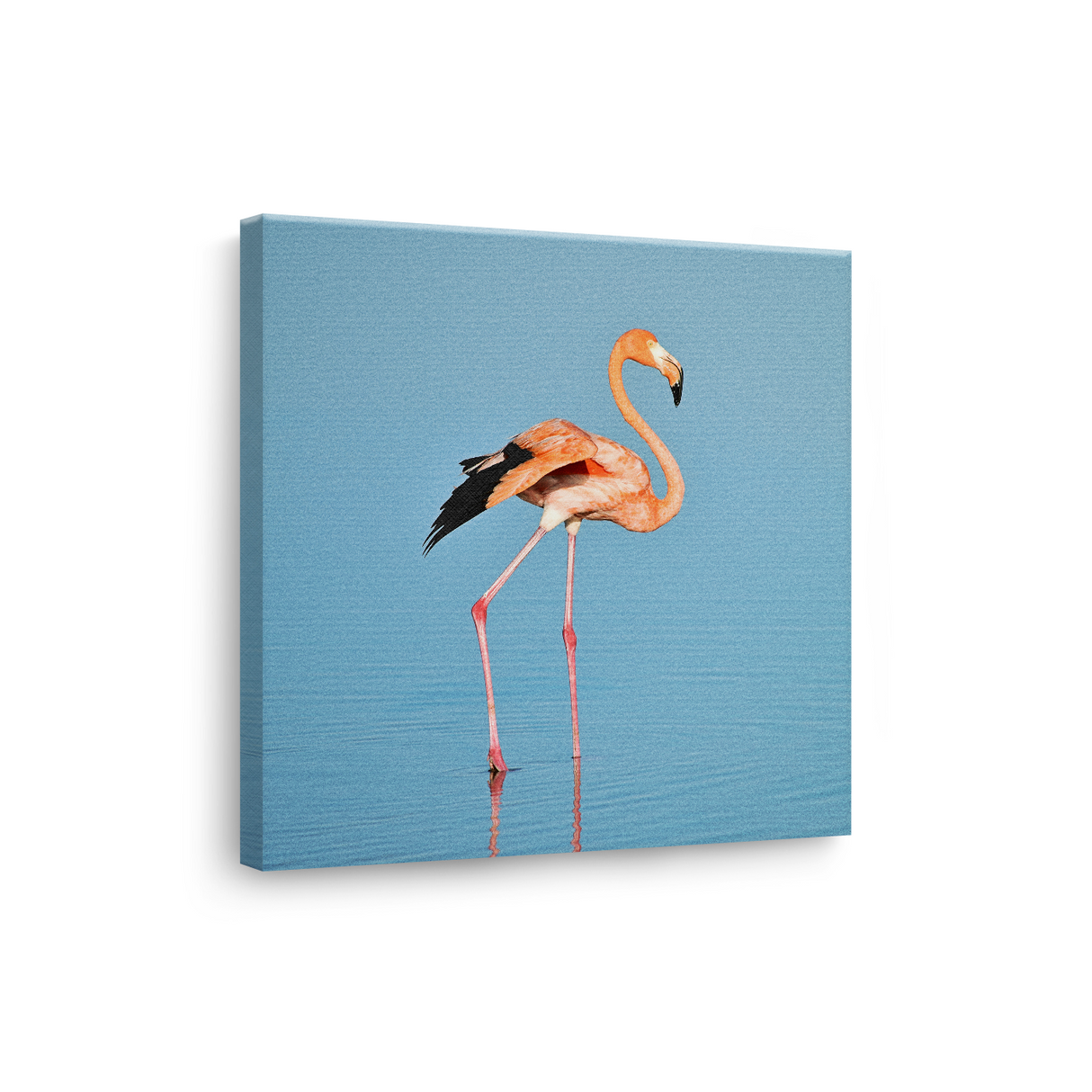 Tablou Canvas Flamingo Solitar, Compoziție Fotografică Minimalistă, Roz-Albastru
