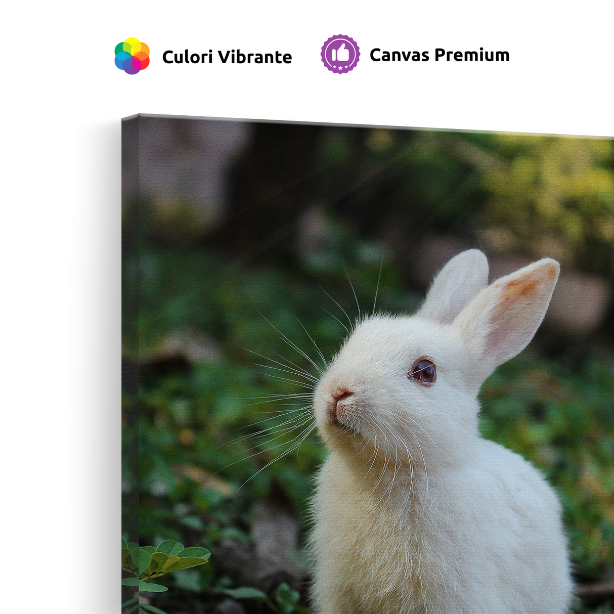 Tablou Canvas Iepuraș Alb în Grădină, Fotografie Animală, Alb-Verde