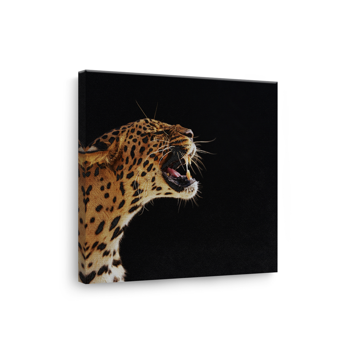 Tablou Canvas Leopard cu Atitudine Impunătoare, Fotografie Dramatică, Negru-Maro