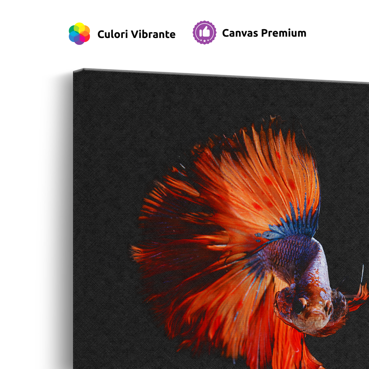 Tablou Canvas Pește Betta în Cadru Întunecat, Fotografie Artistică, Roșu-Albastru