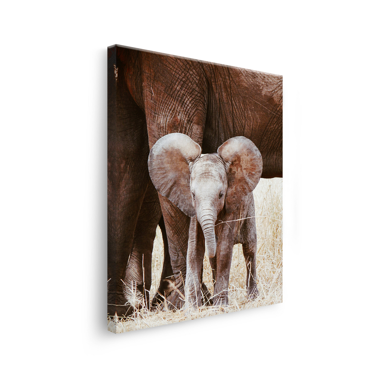 Tablou Canvas Pui de Elefant cu Mama sa, Natură Africană, Maro-Bej