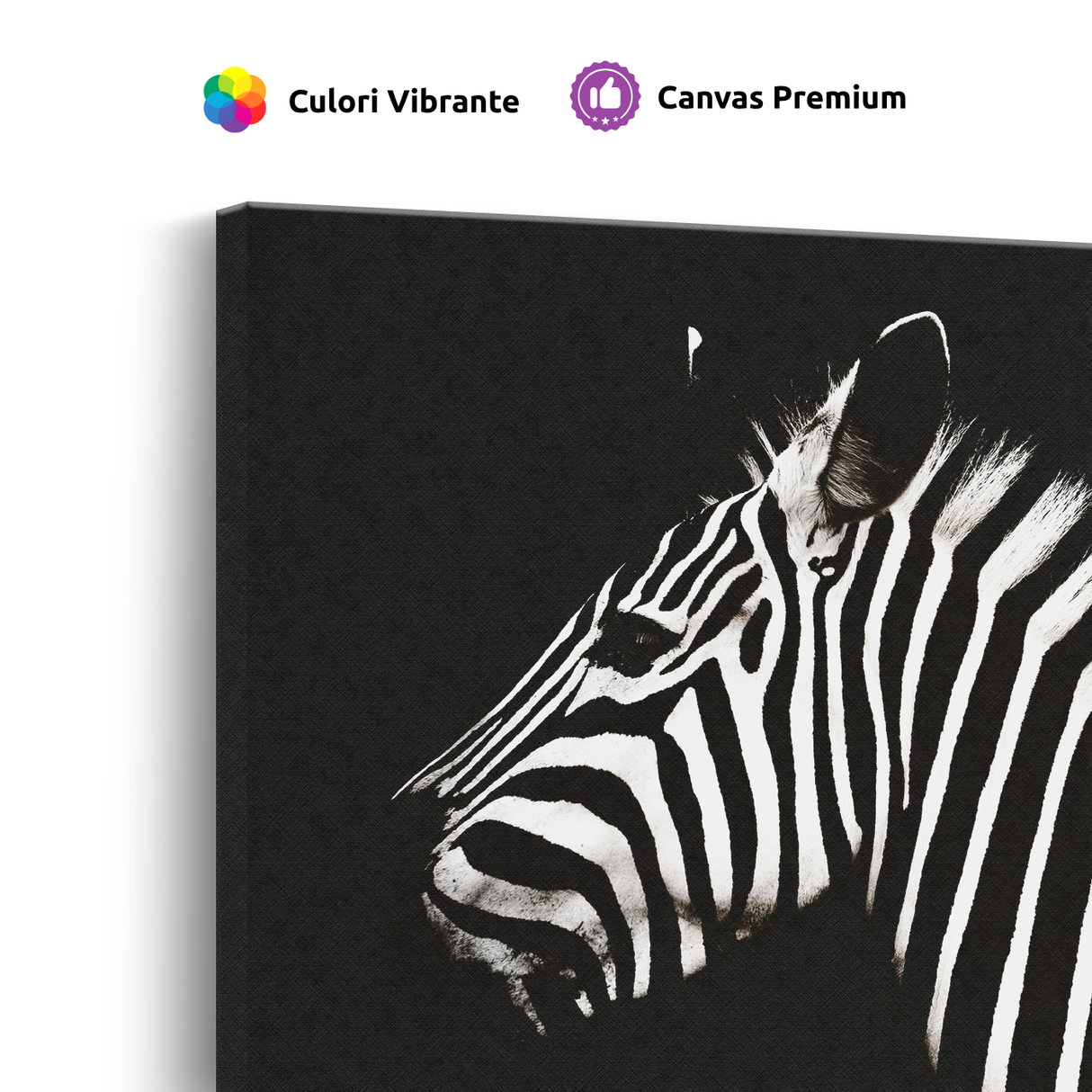Tablou Canvas Zebră în Contrast Dramatic, Fotografie Artistică, Alb-Negru