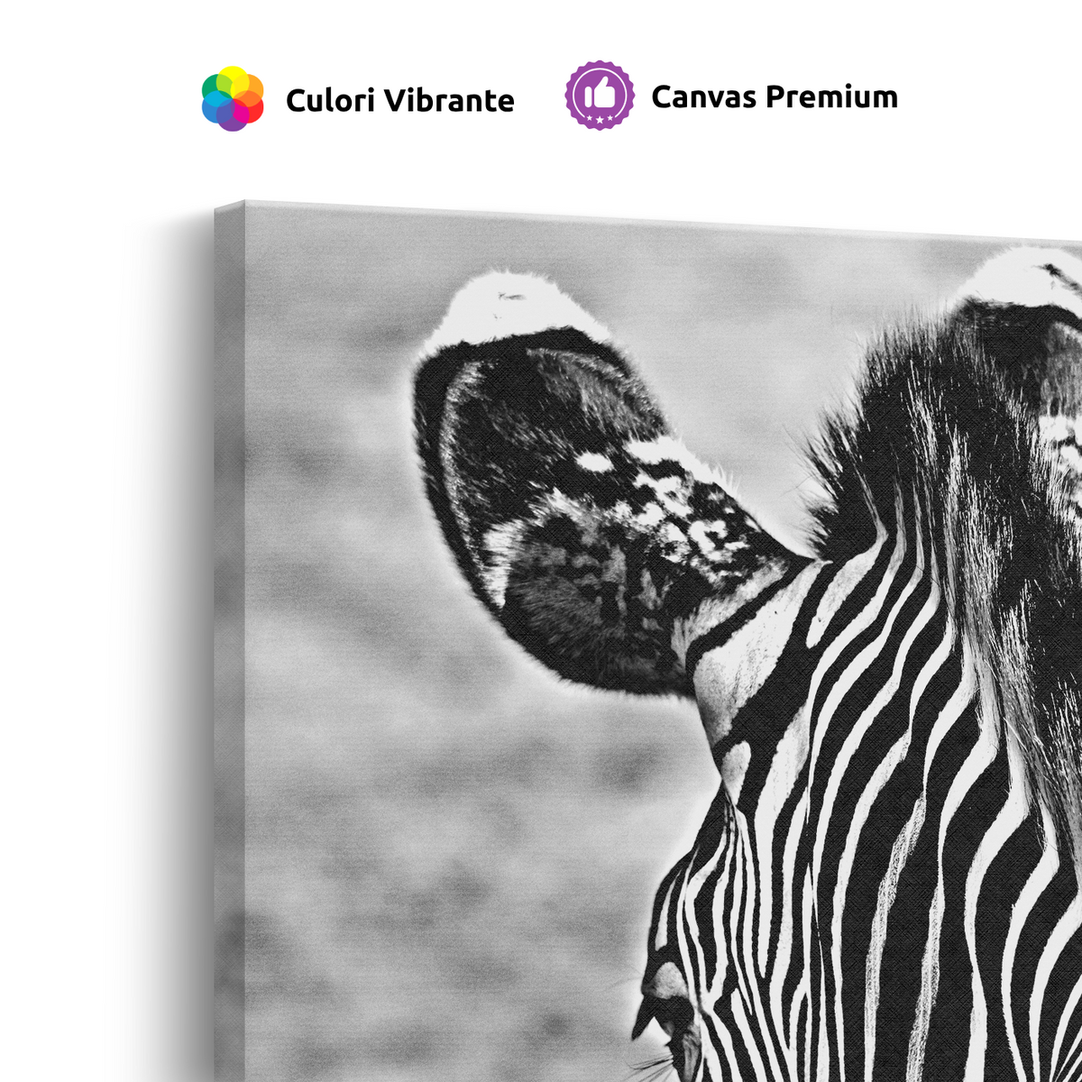 Tablou Canvas Zebră în Fotografie Artistică Alb-Negru - IPCVBW-553-4