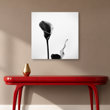 Tablou Canvas Cală Decorativă Alb-Negru