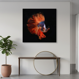 Tablou Canvas Pește Betta în Cadru Întunecat, Fotografie Artistică, Roșu-Albastru