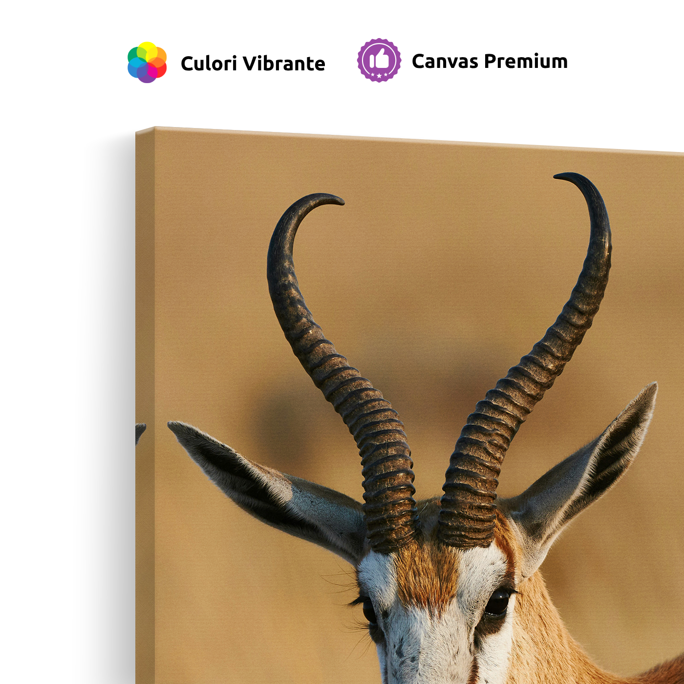 Tablou Canvas Animale Antilopă în Safari