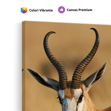 Tablou Canvas Animale Antilopă în Safari