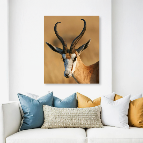 Tablou Canvas Animale Antilopă în Safari