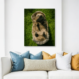Tablou Canvas Animale Arici Simpatic 