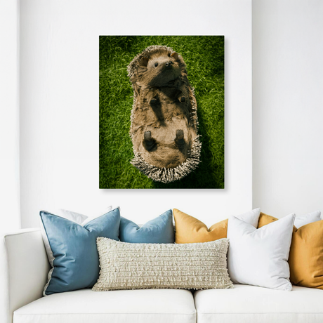 Tablou Canvas Animale Arici Simpatic 