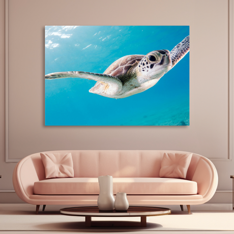 Tablou Canvas Animale Broască Țestoasă Înotând
