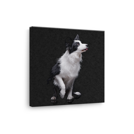 Tablou Canvas Animale Cățel Border Collie