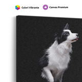 Tablou Canvas Animale Cățel Border Collie