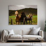 Tablou Canvas Animale Cai Sălbatici