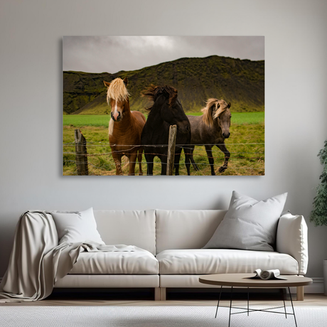 Tablou Canvas Animale Cai Sălbatici