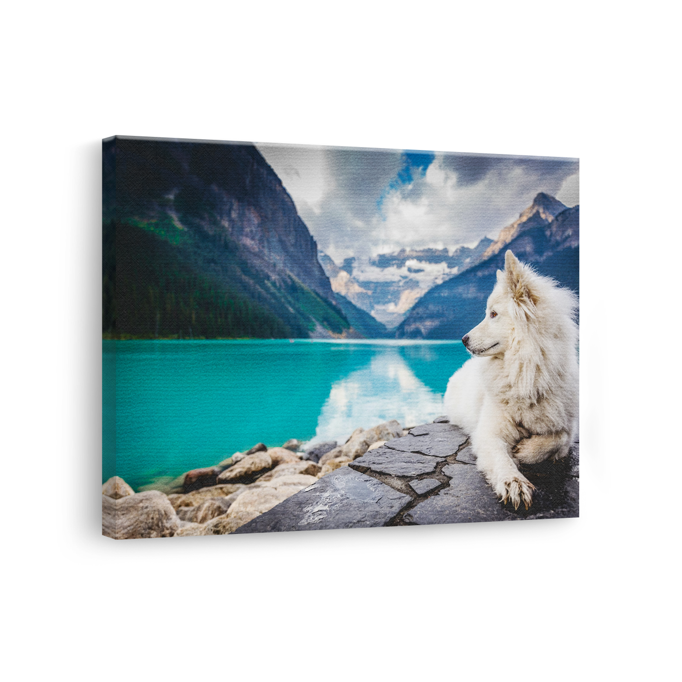Tablou Canvas Animale Câine Alb și Munte