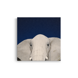 Tablou Canvas Animale Cap de Elefant