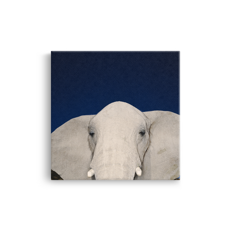 Tablou Canvas Animale Cap de Elefant