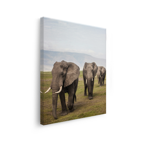 Tablou Canvas Animale Elefanți în Safari