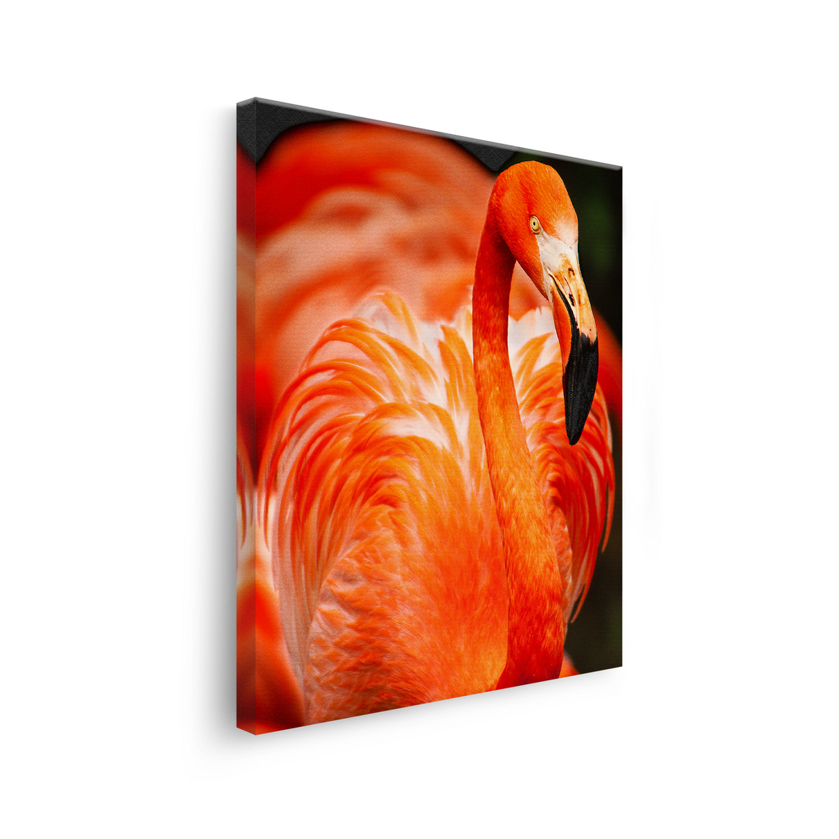 Tablou Canvas Animale Flamingo Roșu Portocaliu Aprins