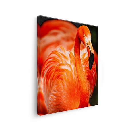 Tablou Canvas Animale Flamingo Roșu Portocaliu Aprins