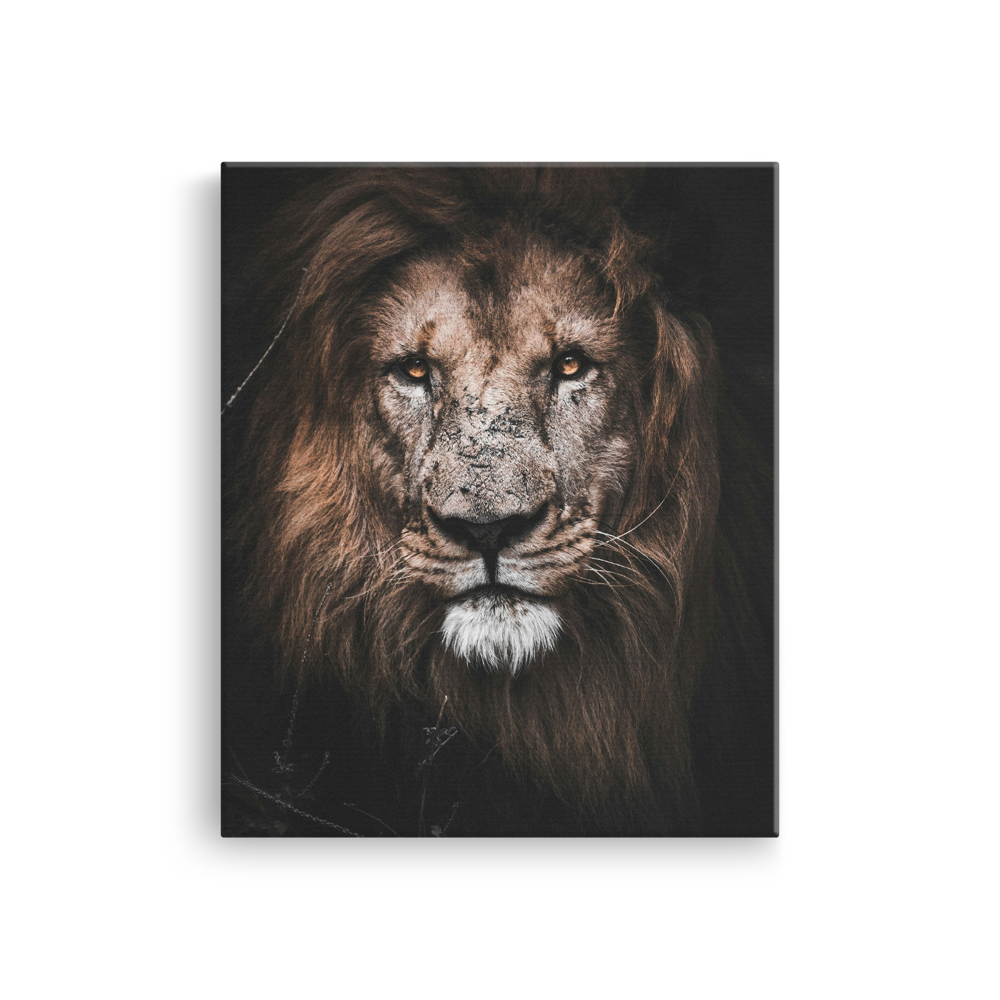 Tablou Canvas Leu Impunător, Animal Sălbatic, Negru-Maro