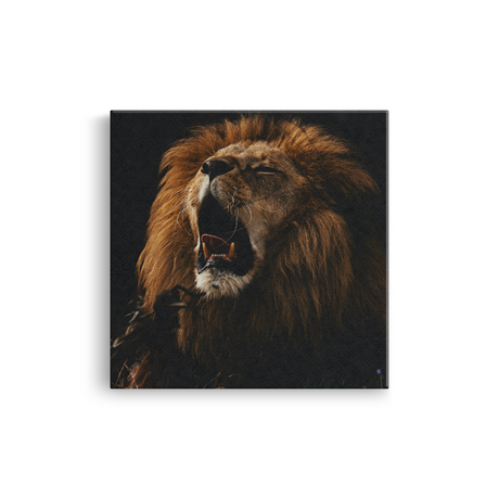 Tablou Canvas Animale Leu care Rage