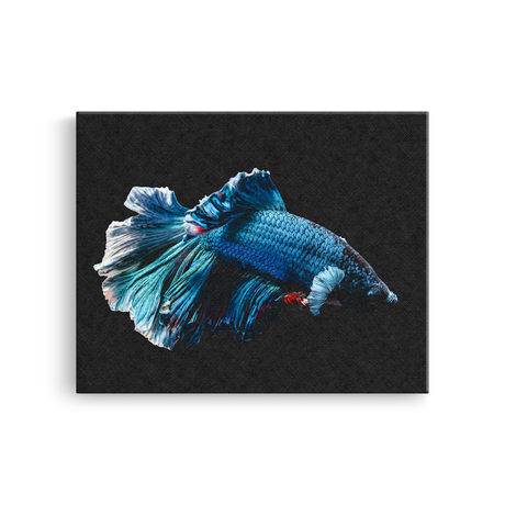 Tablou Canvas Animale Pește Albastru Vibrant