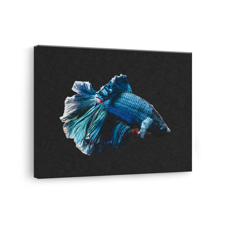 Tablou Canvas Animale Pește Albastru Vibrant