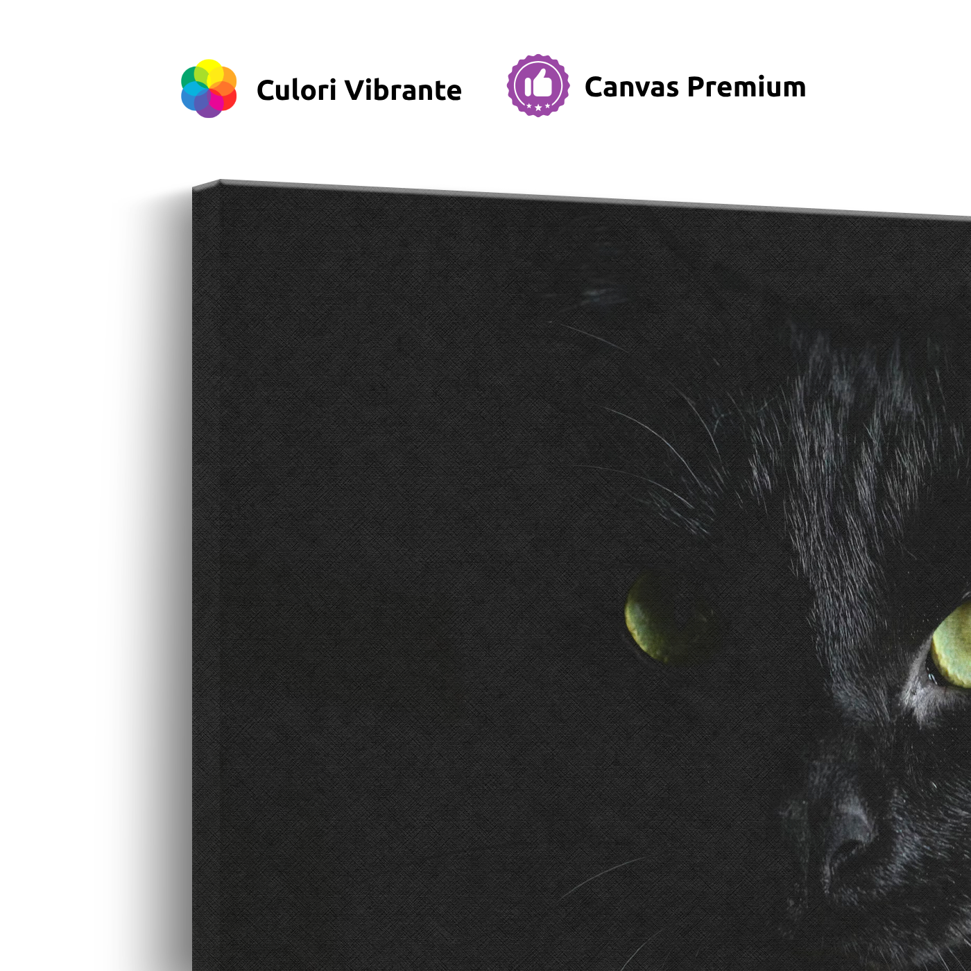 Tablou Canvas Animale Pisică Neagră