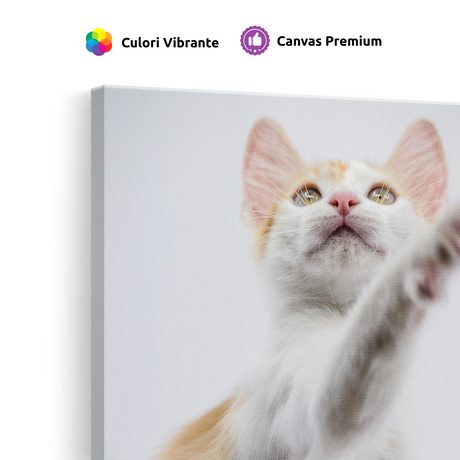 Tablou Canvas Animale Pisicuță Alb Portocaliu