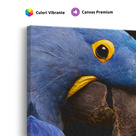 Tablou Canvas Animale Portret Papagal Galben Albastru