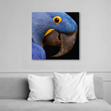 Tablou Canvas Animale Portret Papagal Galben Albastru