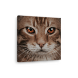 Tablou Canvas Animale Portret Pisică