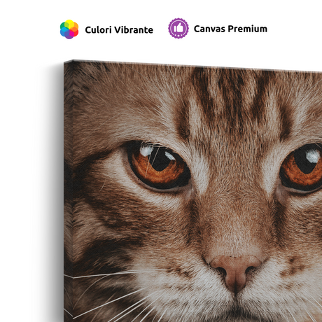 Tablou Canvas Animale Portret Pisică