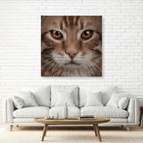 Tablou Canvas Animale Portret Pisică 