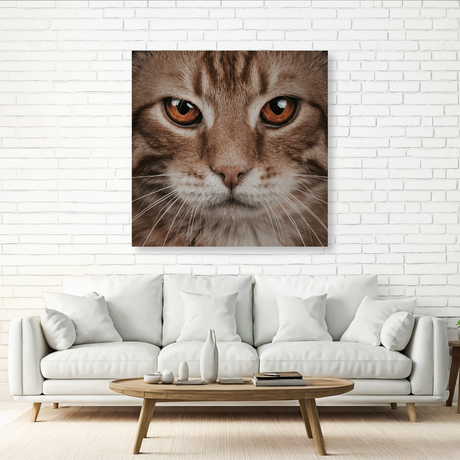 Tablou Canvas Animale Portret Pisică 