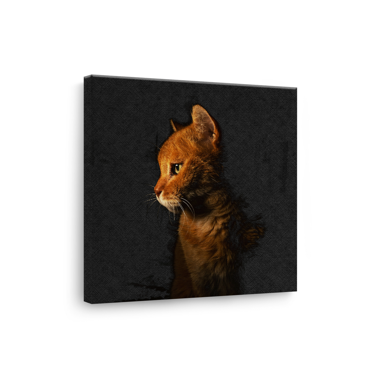Tablou Canvas Animale Portret Pisică Motanul Încălțat