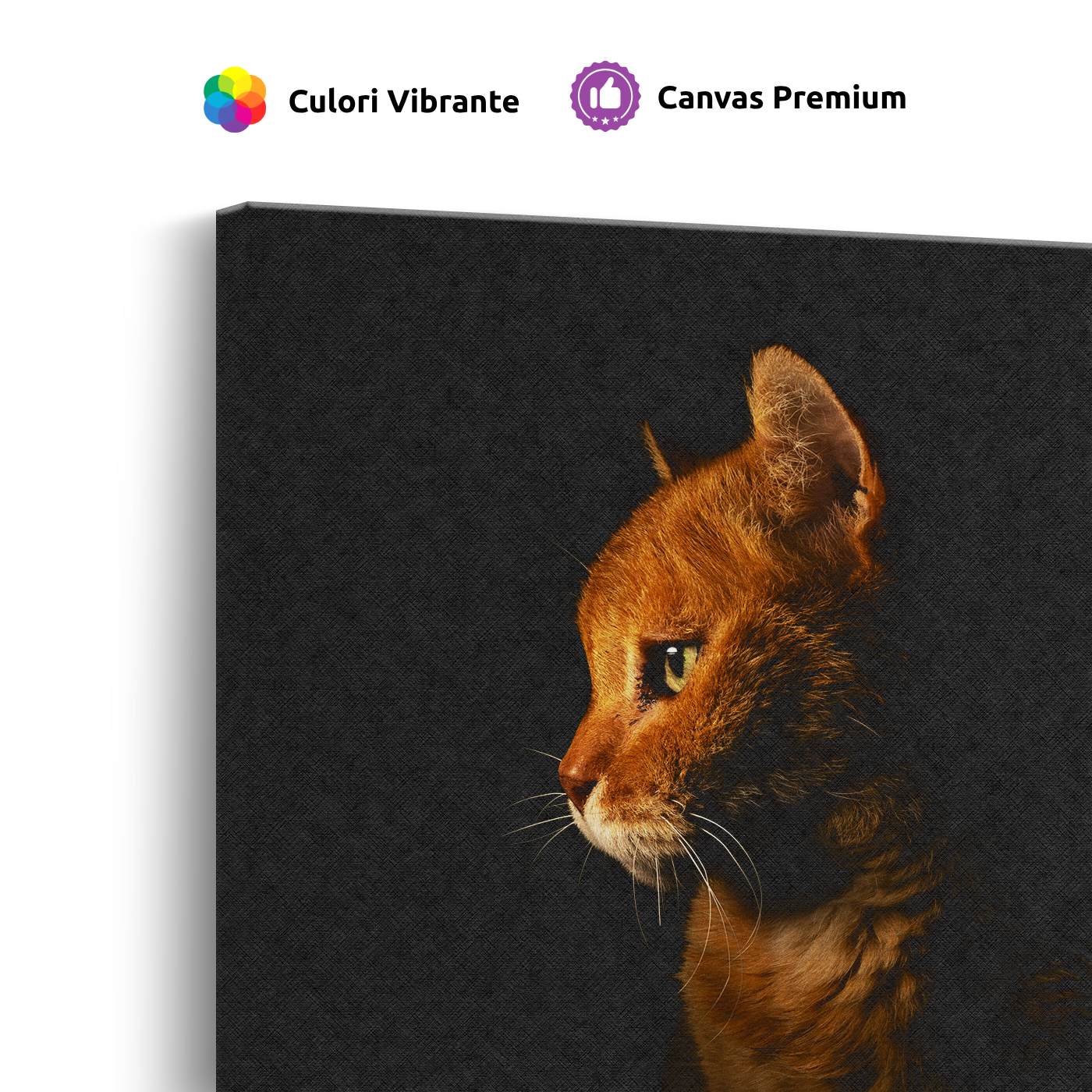 Tablou Canvas Animale Portret Pisică Motanul Încălțat