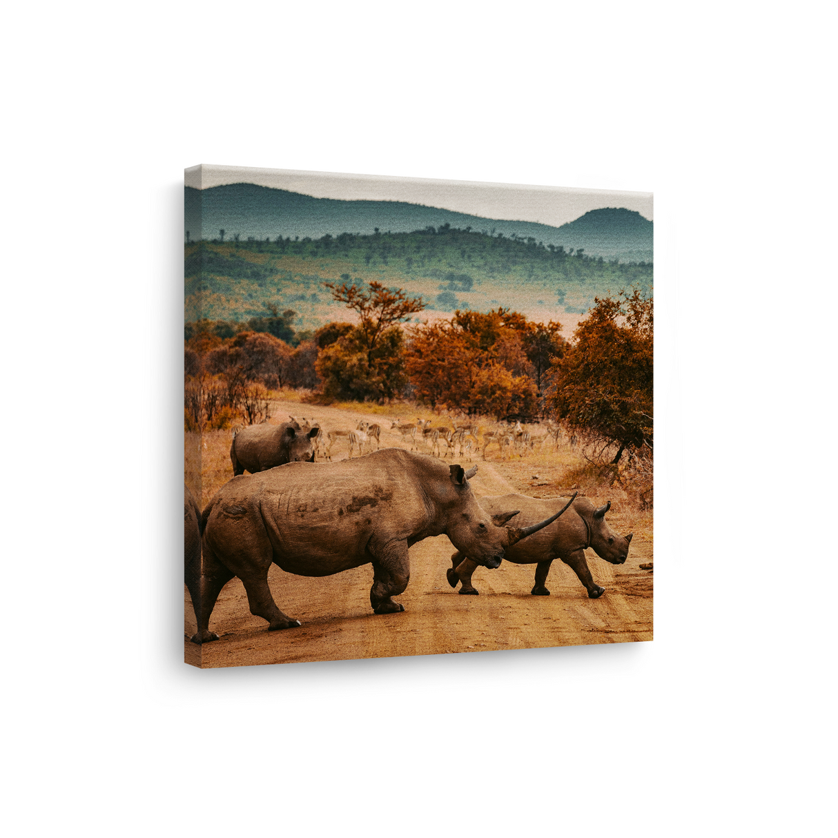Tablou Canvas Animale Rinoceri în Junglă