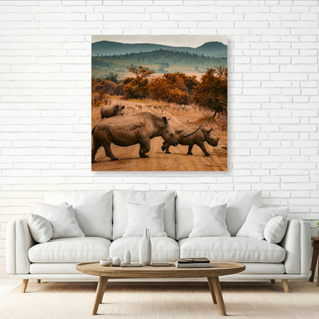 Tablou Canvas Animale Rinoceri în Junglă
