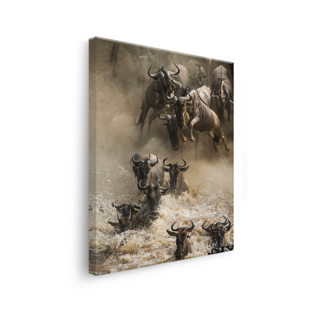 Tablou Canvas Animale Tauri în Râu